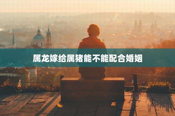属龙嫁给属猪能不能配合婚姻