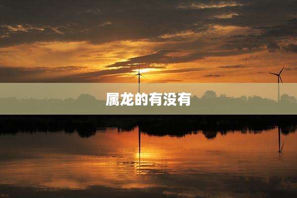 属龙的有没有