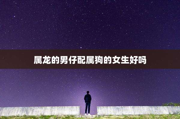 属龙的男仔配属狗的女生好吗