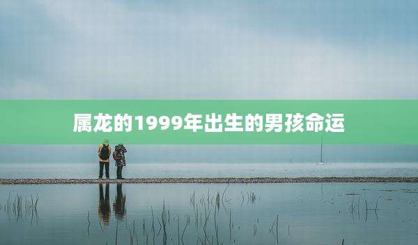 属龙的1999年出生的男孩命运