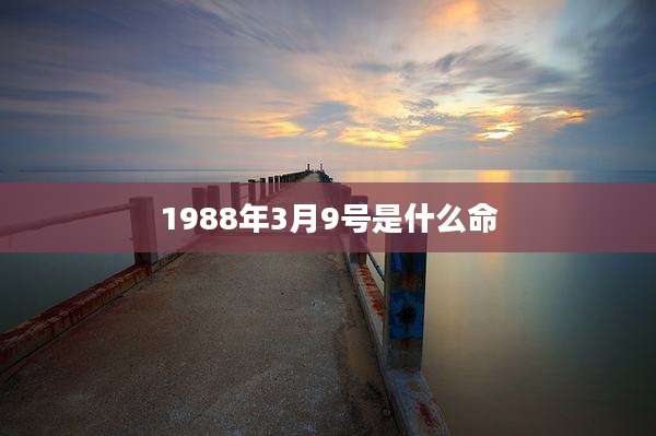 1988年3月9号是什么命