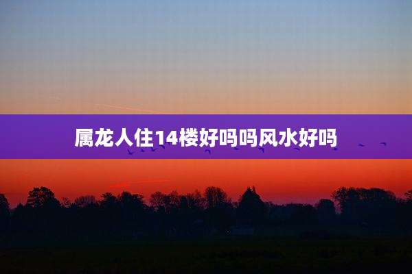 属龙人住14楼好吗吗风水好吗