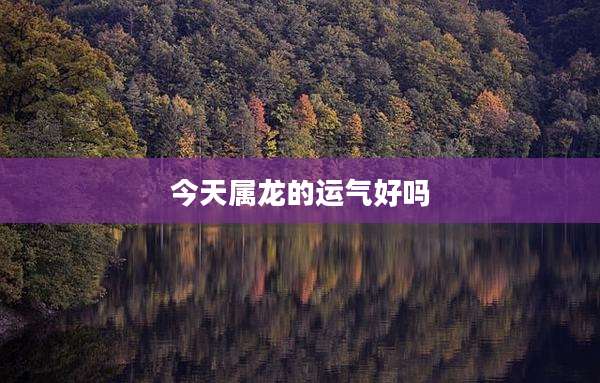 今天属龙的运气好吗