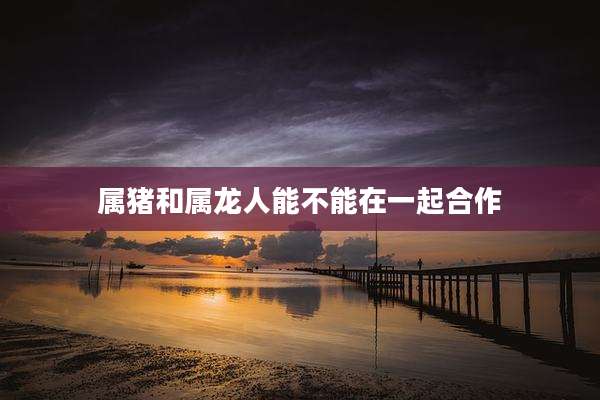 属猪和属龙人能不能在一起合作