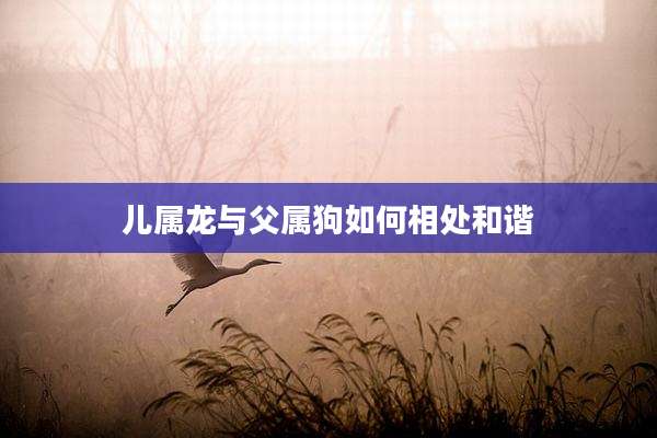 儿属龙与父属狗如何相处和谐