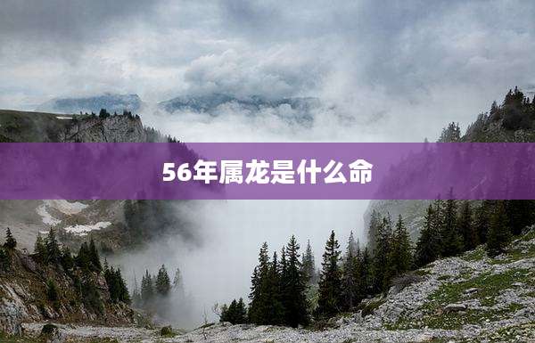56年属龙是什么命