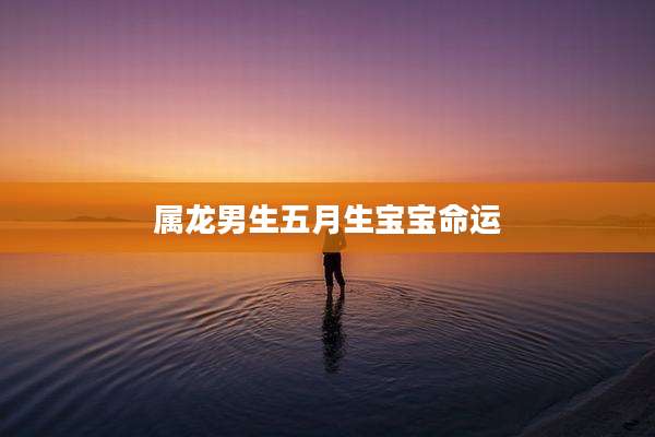 属龙男生五月生宝宝命运