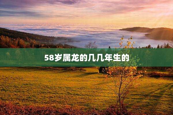 58岁属龙的几几年生的