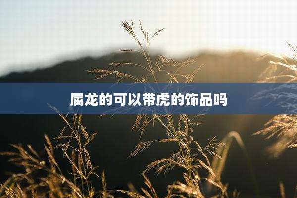 属龙的可以带虎的饰品吗