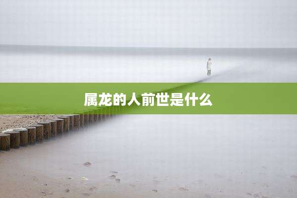 属龙的人前世是什么