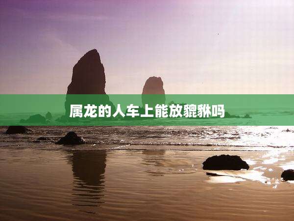 属龙的人车上能放貔貅吗