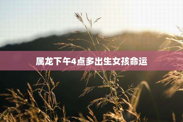 属龙下午4点多出生女孩命运