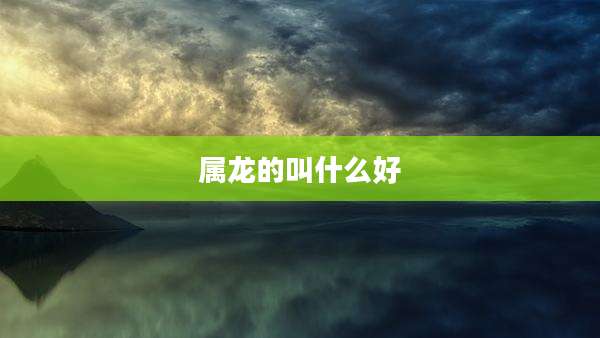 属龙的叫什么好