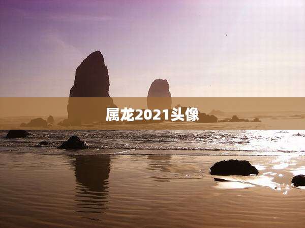 属龙2021头像