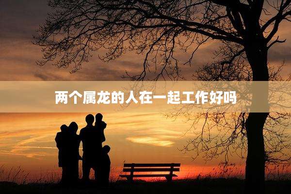 两个属龙的人在一起工作好吗