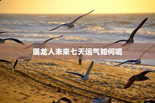 属龙人未来七天运气如何呢
