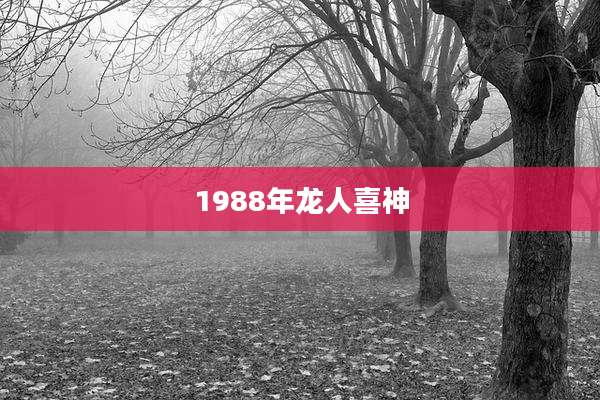 1988年龙人喜神