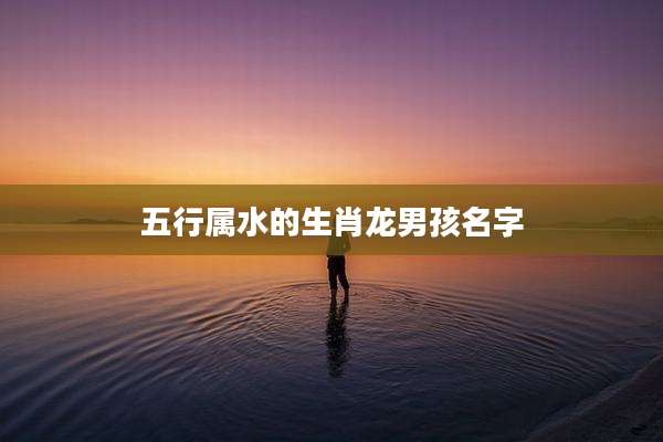 五行属水的生肖龙男孩名字