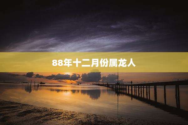 88年十二月份属龙人