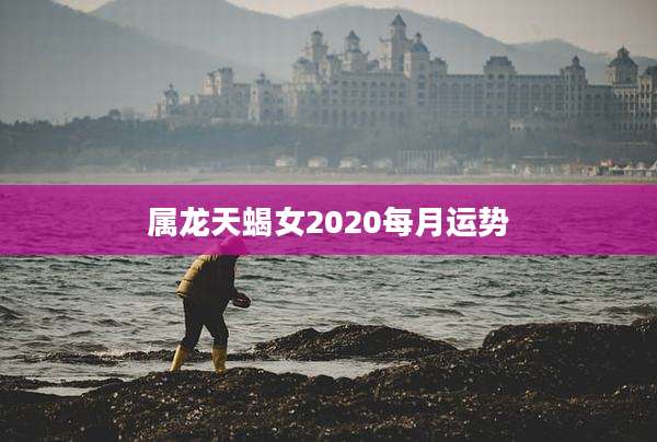 属龙天蝎女2020每月运势