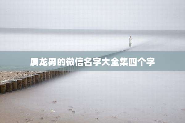 属龙男的微信名字大全集四个字