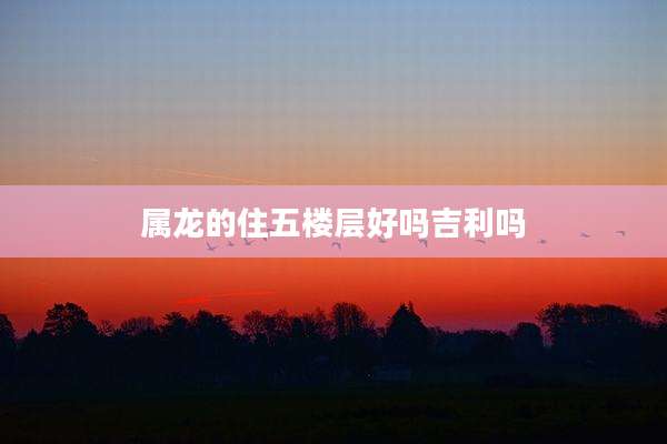 属龙的住五楼层好吗吉利吗