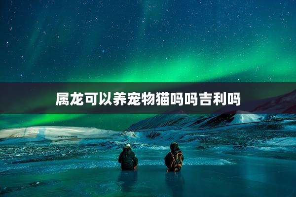 属龙可以养宠物猫吗吗吉利吗