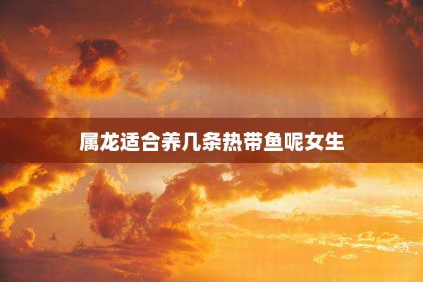 属龙适合养几条热带鱼呢女生