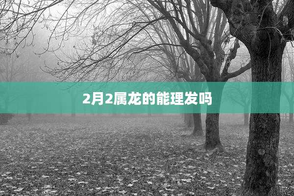 2月2属龙的能理发吗