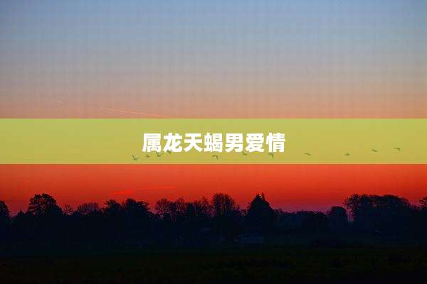 属龙天蝎男爱情