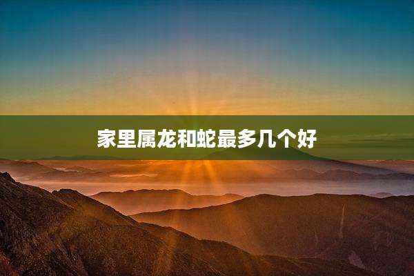 家里属龙和蛇最多几个好