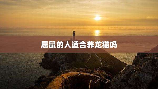 属鼠的人适合养龙猫吗