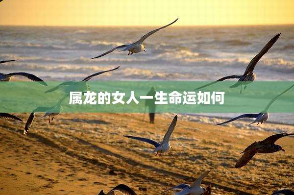 属龙的女人一生命运如何