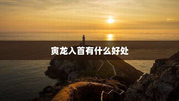 寅龙入首有什么好处