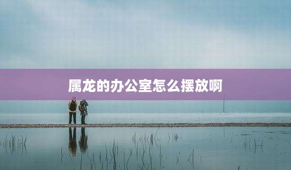 属龙的办公室怎么摆放啊