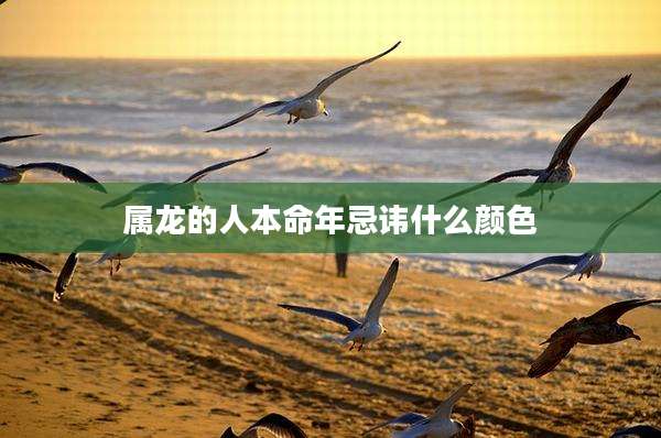 属龙的人本命年忌讳什么颜色