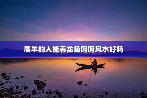属羊的人能养龙鱼吗吗风水好吗