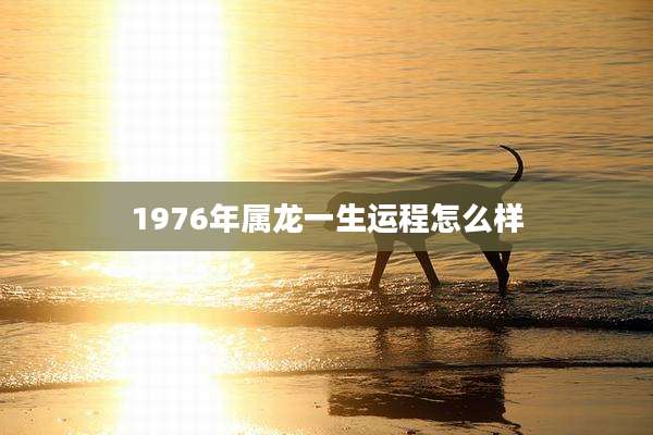 1976年属龙一生运程怎么样