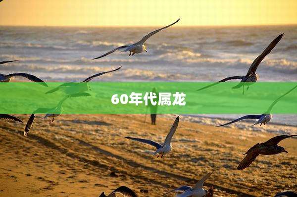60年代属龙
