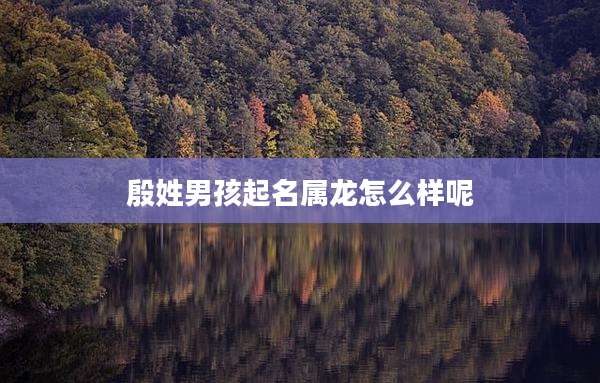 殷姓男孩起名属龙怎么样呢