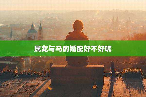 属龙与马的婚配好不好呢