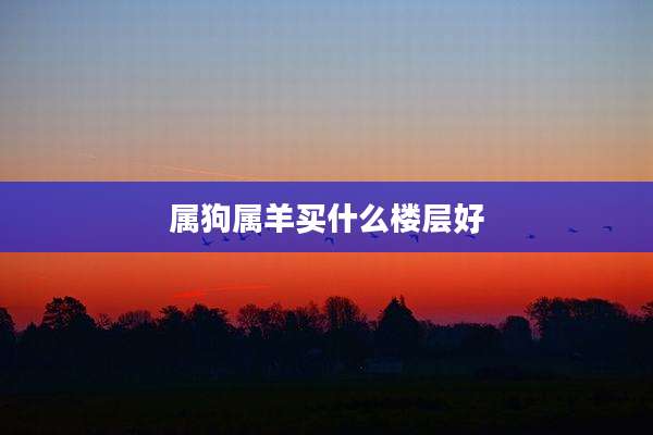 属狗属羊买什么楼层好