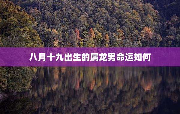 八月十九出生的属龙男命运如何