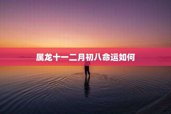 属龙十一二月初八命运如何
