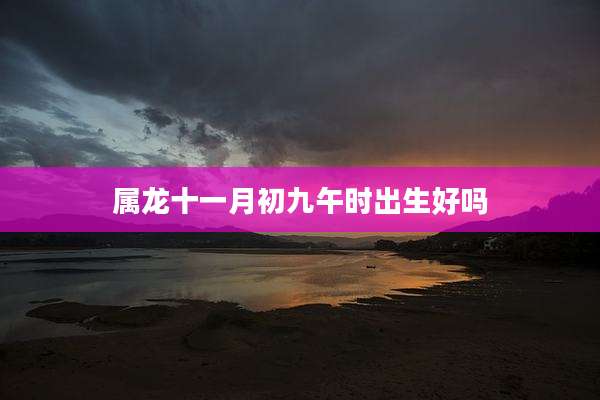 属龙十一月初九午时出生好吗
