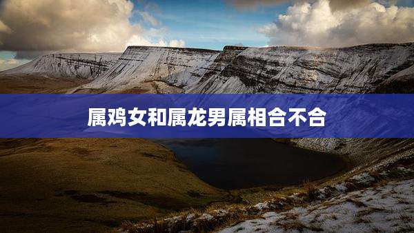 属鸡女和属龙男属相合不合