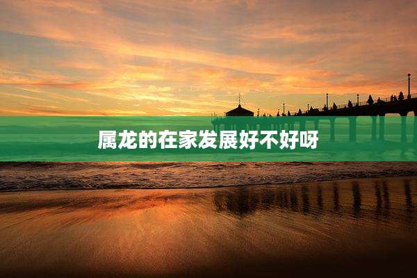 属龙的在家发展好不好呀