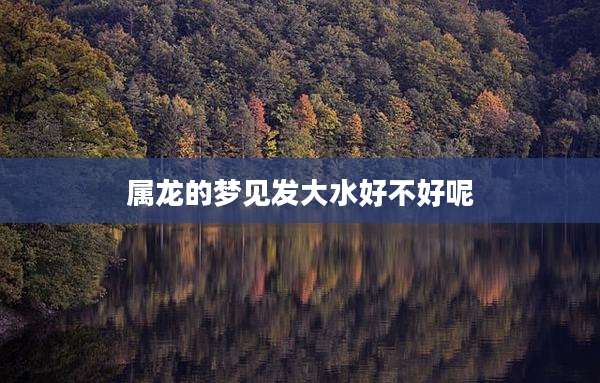 属龙的梦见发大水好不好呢