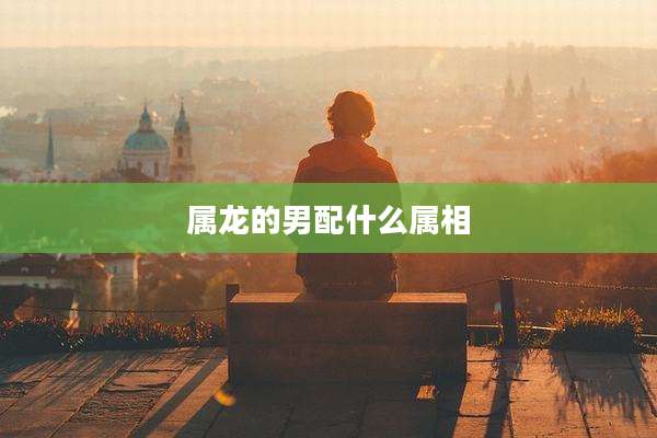 属龙的男配什么属相