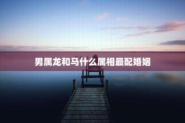 男属龙和马什么属相最配婚姻